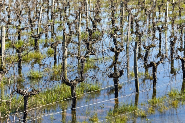 When it Rains it Pours