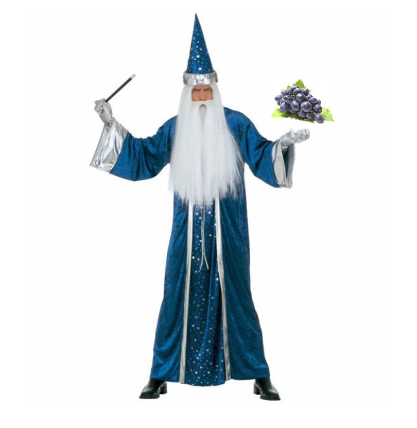 Hocus Pocus Vitis Vinifera