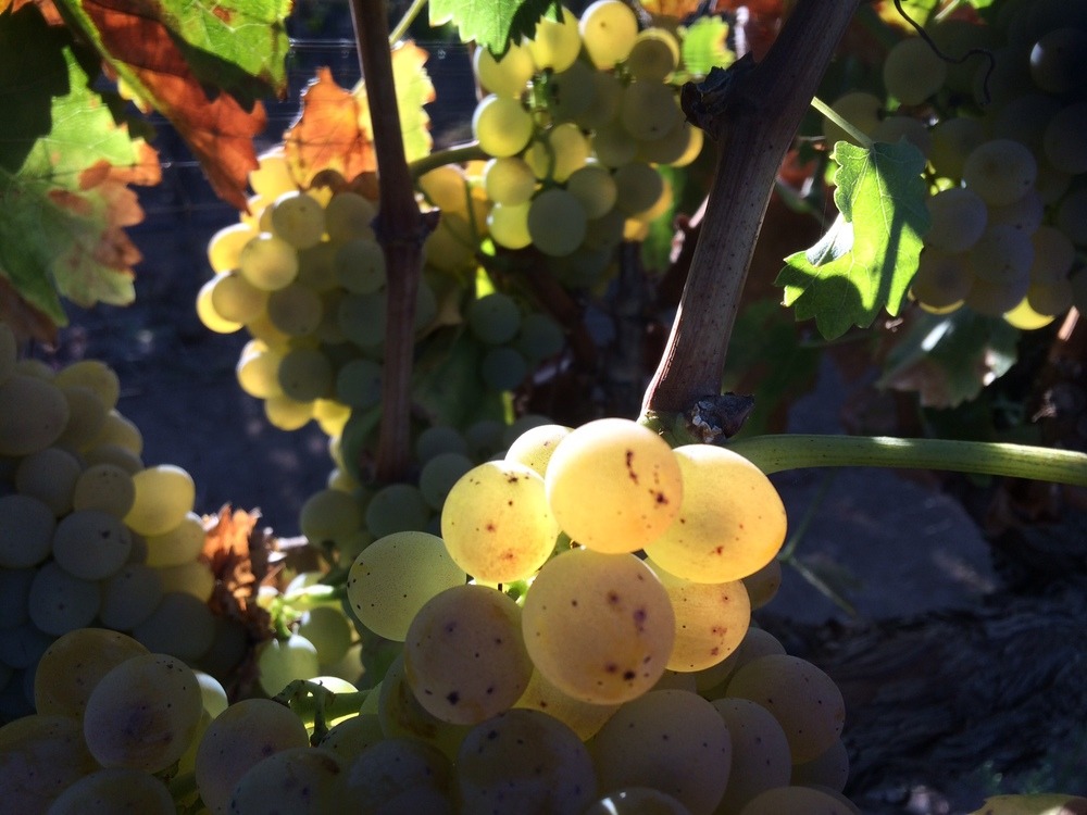 Not always black and white