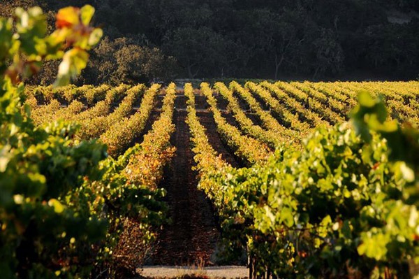 Martian Ranch - Santa Barbara County