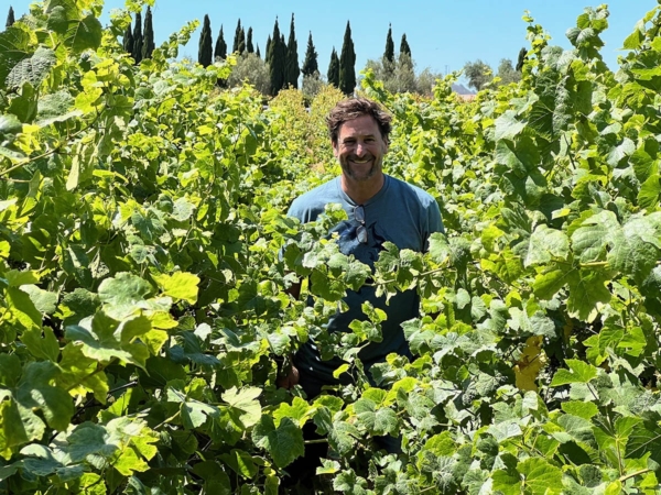 The Wild King (Pt 2): The Coming of Randall