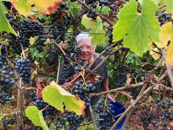 Podcast: Lane Tanner, the “Pinot Czarina of Santa Barbara County,”