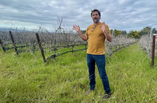 Podcast: Will Henry – Vineyard Gone Wild