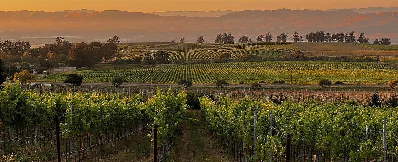 Regenerative and Organic Farming